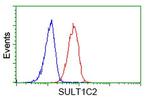 SULT1C2 Antibody in Flow Cytometry (Flow)