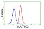 SULT1C2 Antibody in Flow Cytometry (Flow)