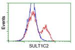 SULT1C2 Antibody in Flow Cytometry (Flow)