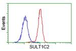 SULT1C2 Antibody in Flow Cytometry (Flow)