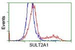 SULT2A1 Antibody in Flow Cytometry (Flow)