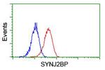 SYNJ2BP Antibody in Flow Cytometry (Flow)