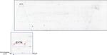 SYT4 Antibody in Peptide array (ARRAY)