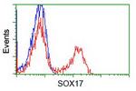 Sox17 Antibody in Flow Cytometry (Flow)