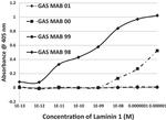 Streptococcus Group A Antibody in ELISA (ELISA)