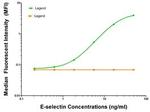 E-Selectin Antibody in ELISA (ELISA)