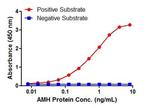 AMH Antibody in ELISA (ELISA)