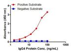 IgG4 Antibody in ELISA (ELISA)