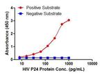 HIV p24 Antibody in ELISA (ELISA)