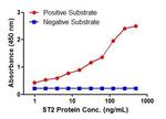 ST2 Antibody in ELISA (ELISA)