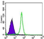 TAB2 Antibody in Flow Cytometry (Flow)