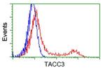 TACC3 Antibody in Flow Cytometry (Flow)