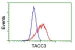 TACC3 Antibody in Flow Cytometry (Flow)