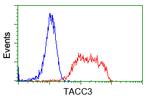 TACC3 Antibody in Flow Cytometry (Flow)