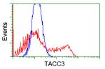 TACC3 Antibody in Flow Cytometry (Flow)