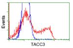 TACC3 Antibody in Flow Cytometry (Flow)