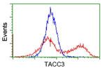 TACC3 Antibody in Flow Cytometry (Flow)