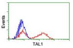 TAL1 Antibody in Flow Cytometry (Flow)