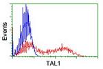 TAL1 Antibody in Flow Cytometry (Flow)