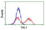 TAL1 Antibody in Flow Cytometry (Flow)