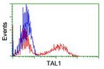 TAL1 Antibody in Flow Cytometry (Flow)