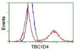 TBC1D4 Antibody in Flow Cytometry (Flow)