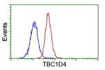 TBC1D4 Antibody in Flow Cytometry (Flow)