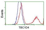 TBC1D4 Antibody in Flow Cytometry (Flow)