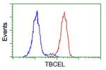 TBCEL Antibody in Flow Cytometry (Flow)