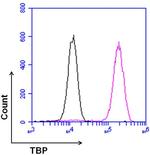 TBP Antibody in Flow Cytometry (Flow)