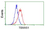 TBXAS Antibody in Flow Cytometry (Flow)