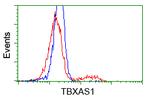 TBXAS Antibody in Flow Cytometry (Flow)