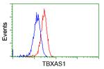 TBXAS Antibody in Flow Cytometry (Flow)