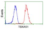 TBXAS Antibody in Flow Cytometry (Flow)