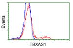 TBXAS Antibody in Flow Cytometry (Flow)