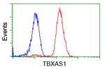 TBXAS Antibody in Flow Cytometry (Flow)