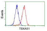 TBXAS Antibody in Flow Cytometry (Flow)