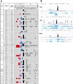 TCF12 Antibody in ChIP Assay (ChIP)