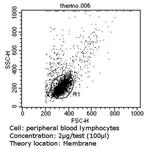 TCR V alpha 12.1 Antibody in Flow Cytometry (Flow)