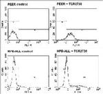 TCR V delta 1 Antibody