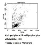 TCR V beta 3.1 Antibody in Flow Cytometry (Flow)