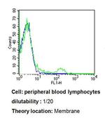 TCR V beta 3.1 Antibody in Flow Cytometry (Flow)