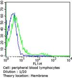 TCR V alpha 12.1 Antibody in Flow Cytometry (Flow)