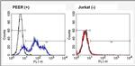 TCR V alpha 12.1 Antibody in Flow Cytometry (Flow)