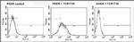 TCR V delta 1 Antibody in Flow Cytometry (Flow)