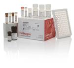 Multispecies AKT1 (Total) InstantOne™ ELISA Kit (85-86047-11)