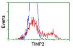 TIMP2 Antibody in Flow Cytometry (Flow)