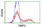 TIMP2 Antibody in Flow Cytometry (Flow)