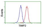 TIMP2 Antibody in Flow Cytometry (Flow)