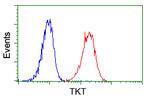 TKT Antibody in Flow Cytometry (Flow)